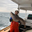 Load image into Gallery viewer, Pick Up Fridays in Kittery, ME 3 to 5PM