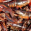Load image into Gallery viewer, Pick Up Fridays in Kittery, ME 3 to 5PM