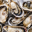 Load image into Gallery viewer, Pick Up Fridays in Kittery, ME 3 to 5PM