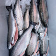 Load image into Gallery viewer, Pick Up Fridays in South Hampton, NH 10AM to 2PM