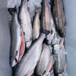 Load image into Gallery viewer, Pick Up Saturdays in Londonderry, NH