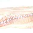 Load image into Gallery viewer, Pick Up Fridays in South Hampton, NH 10AM to 2PM