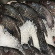 Load image into Gallery viewer, Pick Up Fridays in South Hampton, NH 10AM to 2PM