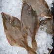 Load image into Gallery viewer, Pick Up Fridays in South Hampton, NH 10AM to 2PM